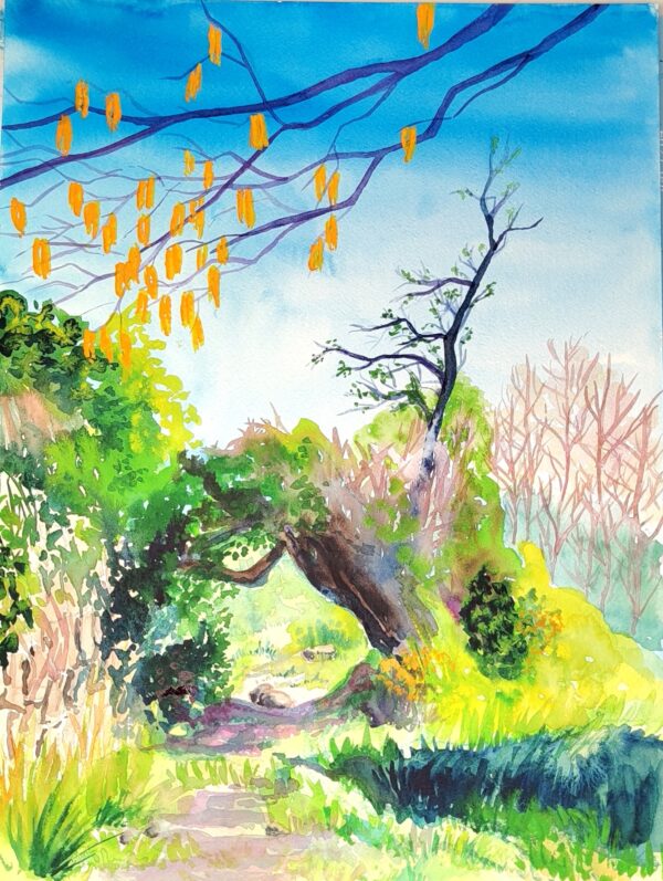 aquarelle de Valérie Houchard